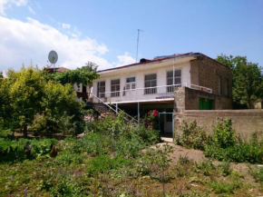 Отель Artush & Donaras B&B  Татев